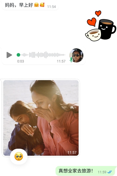 WhatsApp 应用展示